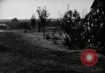 Image Ku Klux Klan assembler South Carolina United States USA, 1916, de la seconde 19 séquences d'archives historiques vidéo 65675027390