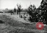 Image Ku Klux Klan assembler South Carolina United States USA, 1916, de la seconde 20 séquences d'archives historiques vidéo 65675027390