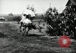 Image Ku Klux Klan assembler South Carolina United States USA, 1916, de la seconde 21 séquences d'archives historiques vidéo 65675027390