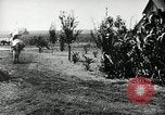 Image Ku Klux Klan assembler South Carolina United States USA, 1916, de la seconde 22 séquences d'archives historiques vidéo 65675027390