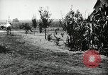 Image Ku Klux Klan assembler South Carolina United States USA, 1916, de la seconde 23 séquences d'archives historiques vidéo 65675027390