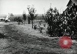 Image Ku Klux Klan assembler South Carolina United States USA, 1916, de la seconde 24 séquences d'archives historiques vidéo 65675027390