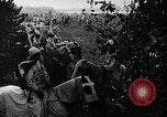 Image Ku Klux Klan assembler South Carolina United States USA, 1916, de la seconde 33 séquences d'archives historiques vidéo 65675027390
