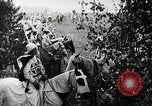 Image Ku Klux Klan assembler South Carolina United States USA, 1916, de la seconde 35 séquences d'archives historiques vidéo 65675027390