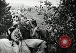 Image Ku Klux Klan assembler South Carolina United States USA, 1916, de la seconde 36 séquences d'archives historiques vidéo 65675027390