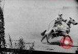 Image Ku Klux Klan assembler South Carolina United States USA, 1916, de la seconde 46 séquences d'archives historiques vidéo 65675027390