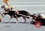Image of Tucson Mountain Men Washington DC USA, 1976, second 31 stock footage video 65675027397