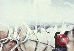 Image of horse drawn carriage Washington DC USA, 1976, second 1 stock footage video 65675027398