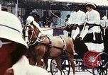 Image of horse drawn carriage Washington DC USA, 1976, second 8 stock footage video 65675027398