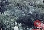 Image of parade float Washington DC USA, 1976, second 5 stock footage video 65675027402