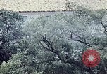 Image of parade float Washington DC USA, 1976, second 6 stock footage video 65675027402