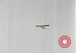Image of Colonel Charles A Lindbergh United States USA, 1928, second 52 stock footage video 65675027475