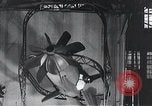 Standbild früher Flugsimulator Dayton Ohio USA, 1935, aus Sekunde 46 historischem Filmmaterial Videoclip 65675027483