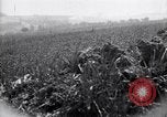 Immagine di Area in Francia indenne dalla guerra Picardia Francia, 1918, secondo 11 filmato di repertorio 65675027490