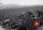 Immagine di Area in Francia indenne dalla guerra Picardia Francia, 1918, secondo 17 filmato di repertorio 65675027490