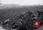Immagine di Area in Francia indenne dalla guerra Picardia Francia, 1918, secondo 18 filmato di repertorio 65675027490