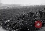 Immagine di Area in Francia indenne dalla guerra Picardia Francia, 1918, secondo 20 filmato di repertorio 65675027490
