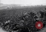 Immagine di Area in Francia indenne dalla guerra Picardia Francia, 1918, secondo 21 filmato di repertorio 65675027490