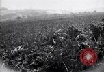 Immagine di Area in Francia indenne dalla guerra Picardia Francia, 1918, secondo 24 filmato di repertorio 65675027490