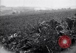 Immagine di Area in Francia indenne dalla guerra Picardia Francia, 1918, secondo 25 filmato di repertorio 65675027490