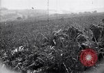 Immagine di Area in Francia indenne dalla guerra Picardia Francia, 1918, secondo 26 filmato di repertorio 65675027490