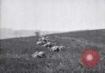 Immagine di Il francese Hotchkiss modello 1914 heavy machine gun Picardia Francia, 1918, secondo 15 filmato di repertorio 65675027492