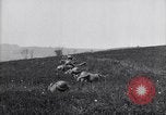 Immagine di Il francese Hotchkiss modello 1914 heavy machine gun Picardia Francia, 1918, secondo 17 filmato di repertorio 65675027492