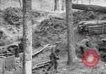 Immagine di Le truppe degli Stati Uniti con lo scavo di una piroga Picardia Francia, 1918, secondo 27 filmato di repertorio 65675027494