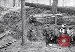 Immagine di Le truppe degli Stati Uniti con lo scavo di una piroga Picardia Francia, 1918, secondo 32 filmato di repertorio 65675027494