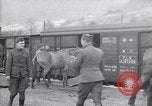 Immagine di Muli caricati su un treno Francia, 1918, secondo 15 filmato di repertorio 65675027499