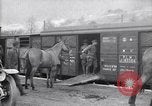 Immagine di Muli caricati su un treno Francia, 1918, secondo 25 filmato di repertorio 65675027499