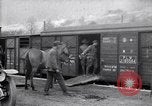 Immagine di Muli caricati su un treno Francia, 1918, secondo 26 filmato di repertorio 65675027499