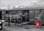 Immagine di Muli caricati su un treno Francia, 1918, secondo 29 filmato di repertorio 65675027499