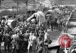 Immagine di Muli caricati su un treno Francia, 1918, secondo 40 filmato di repertorio 65675027499