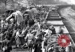 Immagine di Muli caricati su un treno Francia, 1918, secondo 45 filmato di repertorio 65675027499