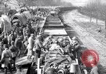 Immagine di Muli caricati su un treno Francia, 1918, secondo 53 filmato di repertorio 65675027499