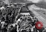 Immagine di Muli caricati su un treno Francia, 1918, secondo 55 filmato di repertorio 65675027499