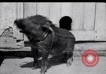 Image of US First Division troops  France, 1918, second 22 stock footage video 65675027501