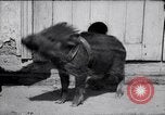 Image of US First Division troops  France, 1918, second 27 stock footage video 65675027501