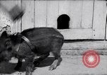 Image of US First Division troops  France, 1918, second 28 stock footage video 65675027501