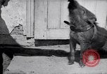 Image of US First Division troops  France, 1918, second 32 stock footage video 65675027501