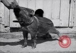 Image of US First Division troops  France, 1918, second 34 stock footage video 65675027501