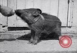 Image of US First Division troops  France, 1918, second 35 stock footage video 65675027501