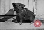 Image of US First Division troops  France, 1918, second 40 stock footage video 65675027501