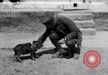 Image of US First Division troops  France, 1918, second 44 stock footage video 65675027501