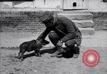 Image of US First Division troops  France, 1918, second 47 stock footage video 65675027501