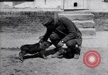 Image of US First Division troops  France, 1918, second 49 stock footage video 65675027501