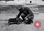 Image of US First Division troops  France, 1918, second 50 stock footage video 65675027501