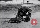 Image of US First Division troops  France, 1918, second 52 stock footage video 65675027501