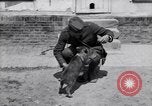 Image of US First Division troops  France, 1918, second 54 stock footage video 65675027501